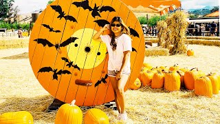 MY FIRST PUMPKIN PATCH IN AMERICA -STUNNING VIEW