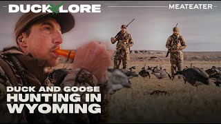 Duck and Goose Hunting in Wyoming | Duck Lore