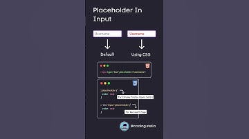 Placeholder in Input