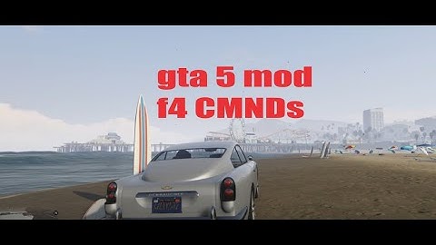 Rage Mod Console Commands GTA 5
