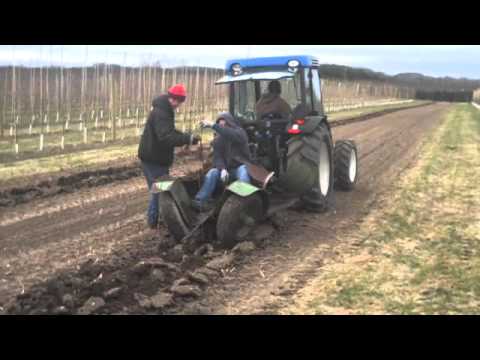 Planting heritage apple trees - video from King Orchards