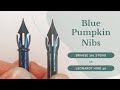 Blue Pumpkin Nibs Comparison - Brause 361 Steno VS Leonardt Hiro 40