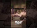 Kenshi Base Building - Torches Make Your Base Come Alive!