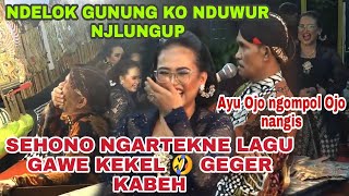 Ayu vs sehono  nerjemahne lagu bajing loncat Ayu nganti nangis  Dalange kekel🤣gegerrrrr sak lapanagn