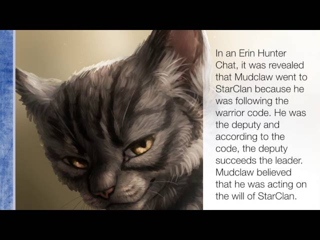 Warrior Cats Facts! 