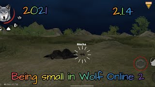 Being a small wolf in Wolf Online 2