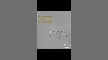 Microscopic Robots Grab Single Cells Like Magic #shorts
