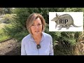 End of video