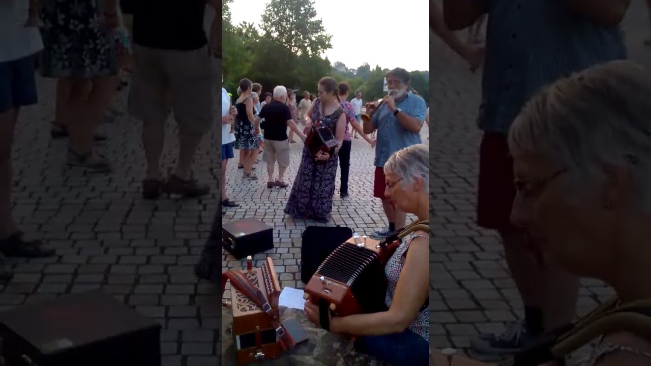 Accordéon diatonique á Fougères, Bretagne (Trekzak in Fougères, Bretagne)