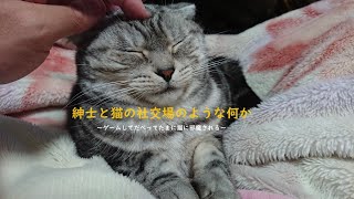 【パラノマサイトFILE38】へたれ不思議伝奇・弐Part6【ネタバレ禁止/注意】