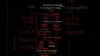 Flowchart 002 Criminal Case Flowchart