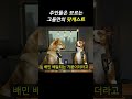 캐리함 (물리) [팟개스트 ep.52]