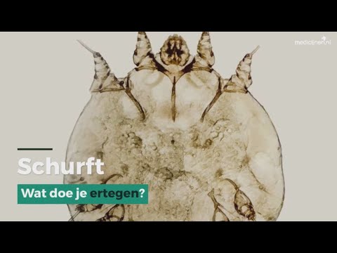 Video: Hoe schildpadden te fokken