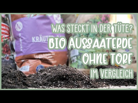 Video: Sollen Tomaten in torffreiem Kompost angebaut werden?