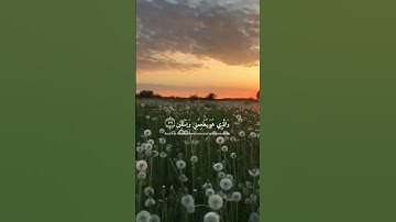 سورة الشعراء ( ٧٨ - ٨١ ) الذي خلقني فهو يهدين #محمد_هشام