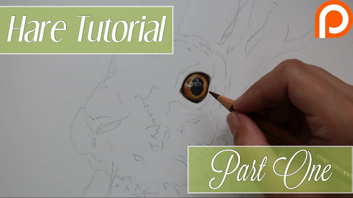 Patron Wildlife Tutorial - Hare Part One