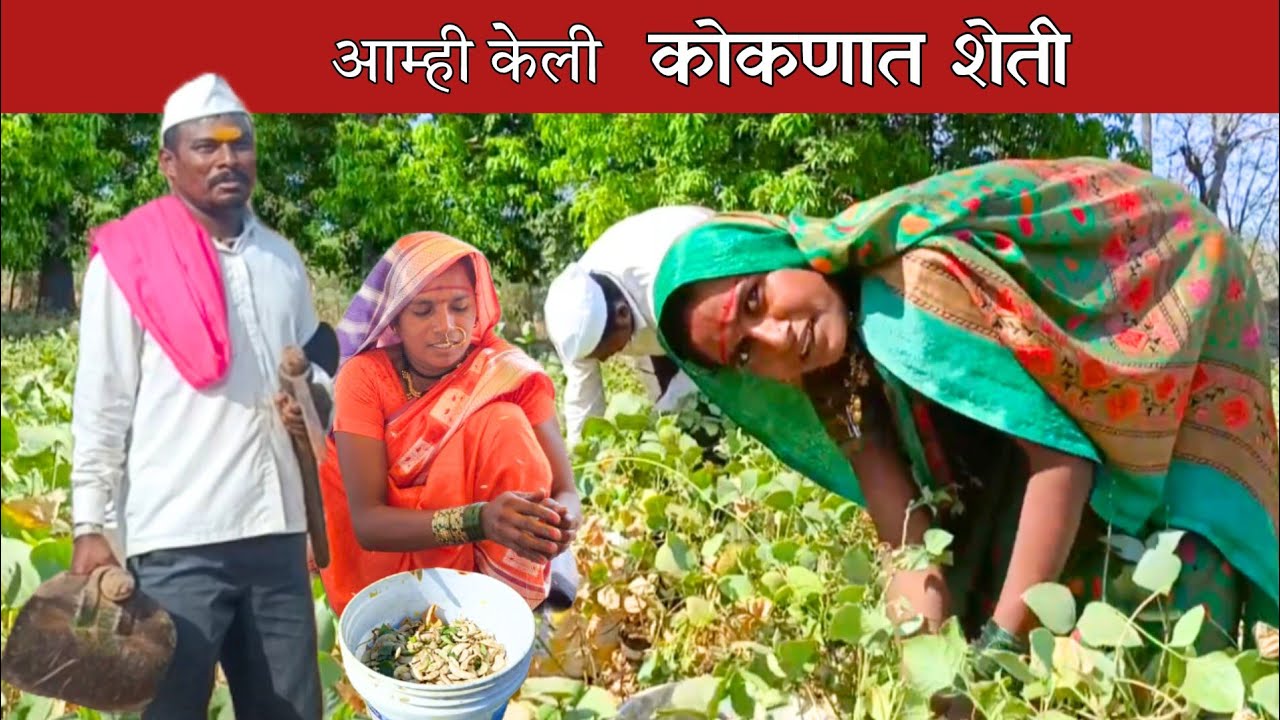 आम्ही कोकणात पहिल्यांदाच केली शेती; आमचा वाल काढून घेतला | sidu hake | banai