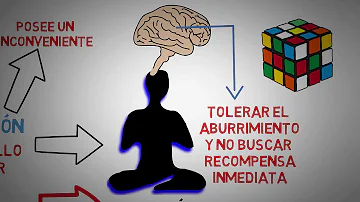 ¿Qué puedo tomar para centrarme y concentrarme?