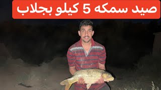 جنوب الموصل صيد سمكه 5 كيلو بجلاب صيد سمك سمتي طلاعت صيد مغامرات ليليه