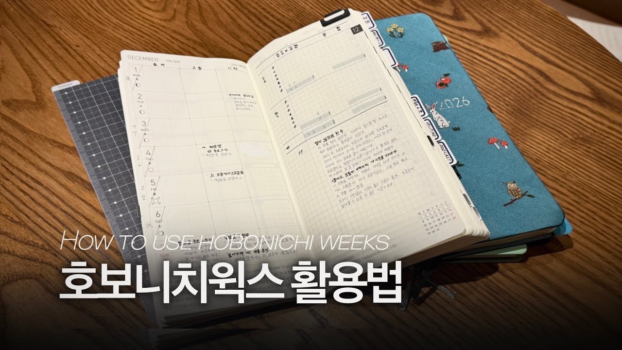 Diary-mas log❹ | 호보니치 윅스로 쓰는 프로젝트 트래커