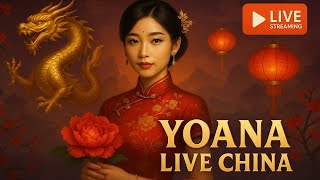  Sekarang Soreini Disini Lv Chnn Feb2026  Falalaa Views