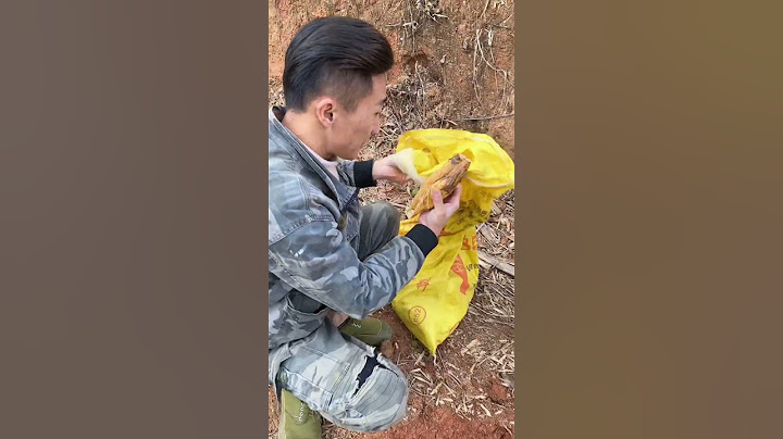 又是发财的一天，路上捡到3个大笋！#我的乡村生活 #挖笋的乐趣只有体验过才懂 #挖冬笋