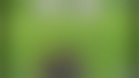 1v1 LOL   Online Building Simulator   pro gameplay