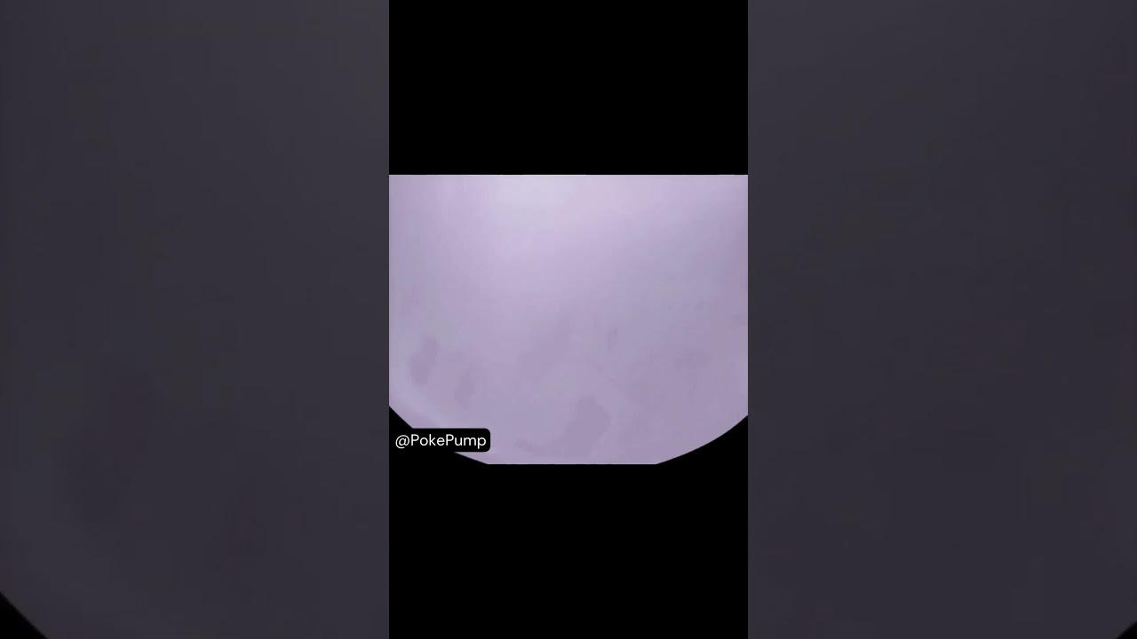 You Won't Believe How Huge Metamorph Gets! 😱