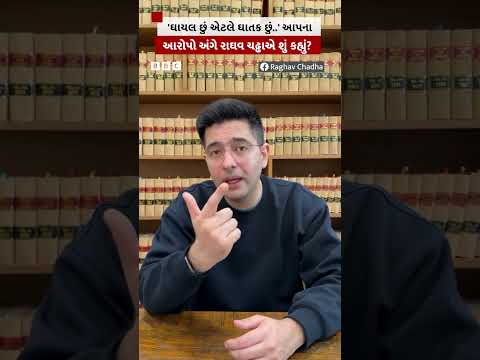 'ઘાયલ છું એટલે ઘાતક છું..' આપના આરોપો અંગે રાઘવ ચઢ્ઢાએ શું કહ્યું?