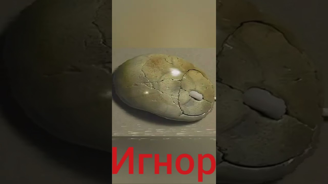 Какую выберешь ты? 