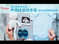 ?1Hour? ???????1 - ?????????????????/ Mother & Baby Music Box 1 (Good for the Early Pregnancy)