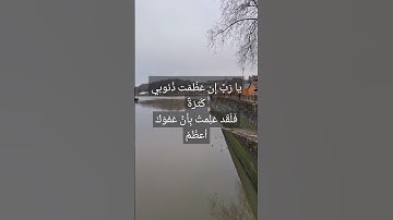 #قرآن #surahalbaqarah #قران_كريم #البقرة #سورة_البقرة #tilawat #سورة #اكسبلور #surahalbaqrah #القرآن