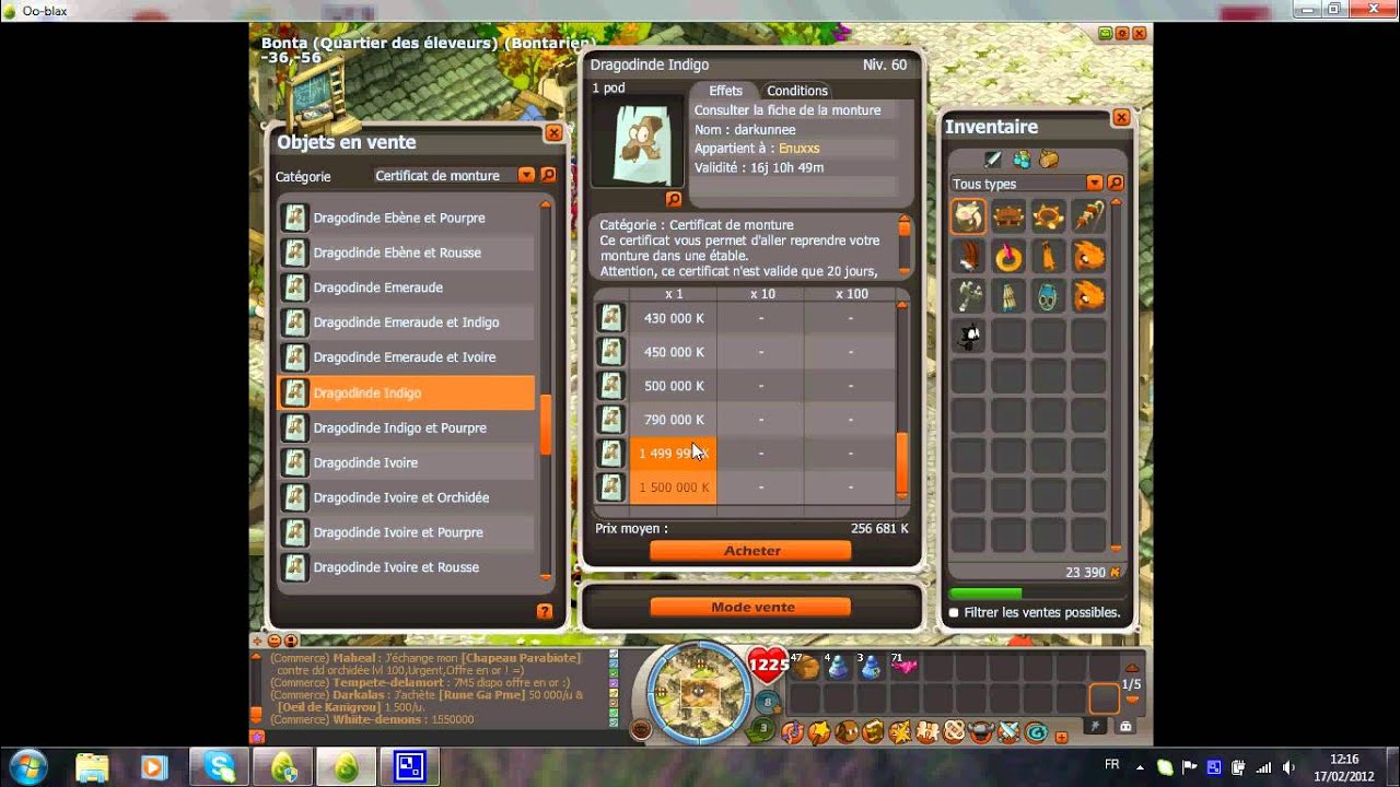 comment faire pour avoir une dragodinde (dd) bien elever - YouTube