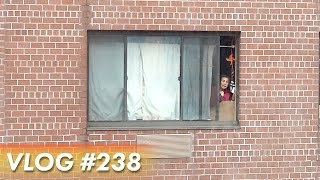 SHES YELLING AT US!
Check Out Jacob Vlog #238 - SUBSCRIBE FOR NEW VIDEOS TWICE A WEEK! http://bit.ly/1B4LaNz
Today I tell you a story about an old Asian lady who was yelling at us from her window while we were trying to work. Two of my coworkers decided to go talk to her to figure out what she really wanted.
Follow, subscribe, tweet, and share!
http://instagram.com/checkoutjacob
https://twitter.com/CheckOutJacob
https://www.facebook.com/checkoutjacob
Snapchat: Realmember
Equipment I Use:
DJI Mavic Pro Drone: http://amzn.to/2mkayJL
Sony RX100 m4: http://amzn.to/2dXqi3F
Gorillapod: http://amzn.to/2dR7FSc
SD Card: http://amzn.to/2dXrofT
GoPro Hero 4 Black: http://amzn.to/2dR6G4J
Samsung Galaxy Note 5: http://amzn.to/2exvInY
Aputure LED Light: http://amzn.to/2ee5cgo
Travel Bag: http://amzn.to/2exxVj9
Bluetooth Headphones: http://amzn.to/2ee760J
External Hard drive: http://amzn.to/2dXrFj3
If you are not subscribed, you can do so here:
http://www.youtube.com/subscription_center?add_user=checkoutjacob
Music (Killertracks.com):
Thanks for watching!
For business inquiries or just to say hi, please use the following email address: CheckOutJacob@gmail.com
All videos are shot on a Sony RX100 m4, Canon T2i, Samsung Note 5, or GoPro Hero 4 Black and edited using Adobe Creative Cloud. SHES YELLING AT US!