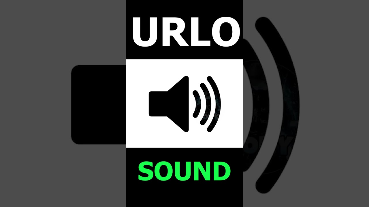 suono urlo fortissimo - sound effect 