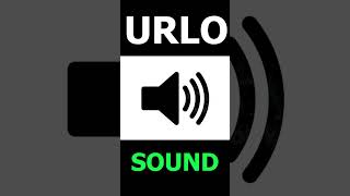 Very Loud Scream Sound - Sound Effect