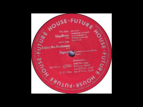 Future House — Future House - Skydiver