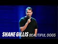 Shane Gillis On The War In The Middle East Beautiful Dogs 