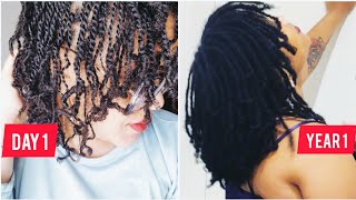 1 Year Loc Journey w/ pictures and videos