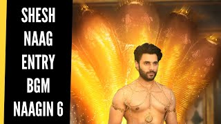 Naagin 6 | Shesh Naag Entry BGM | BGM From Ep 21 | Colors | Tushar Khanna | CODE NAME BADSHAH 2