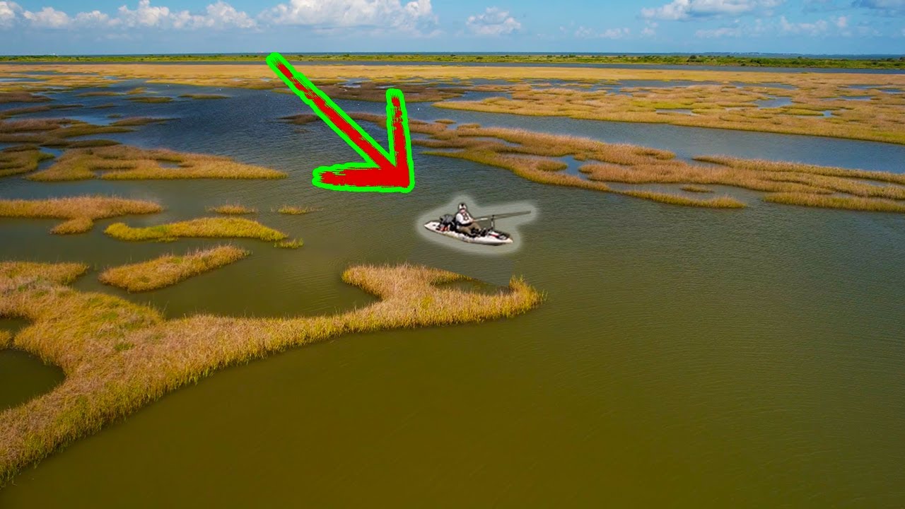 *WILD* Fishing Bolivar Peninsula Crystal Beach with Micro Lures YouTube