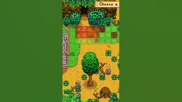 When You Place Buildings In Stardew Valley...