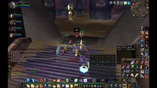 WoW Vanilla - Turtle WoW - Ruins of Ahn'Qiraj - Graphic Glitches !