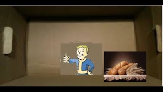 I Mailed Myself in a Box and IT WORKED! (Human Mail Challenge) (Almost DIED)