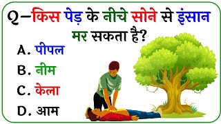 GK Question || GK In Hindi || GK Question and Answer || GK Quiz || Shibu GK STUDY ||