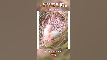 The Most Hilarious CS2 Fails Caught LIVE! 🤦‍♂️😂 #shorts #cs2