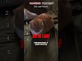 Ranking the Funniest Cat Loaf Form #cat #shorts