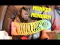 Monkey Monday Mail Time! Toys & More!