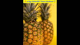 🔥ఇ చెట్లు పెరగడానికి 2 Years పడుతుందా😱 | Telugu Facts | Nano Facts 07 | #shorts #telugufacts #trees