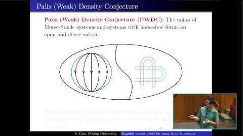 Singular vector fields far away from horseshoe - Shaobo Gan